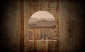Design de Logo par Drexen pour Great Smoky Mountains Winery | Design : #12974128