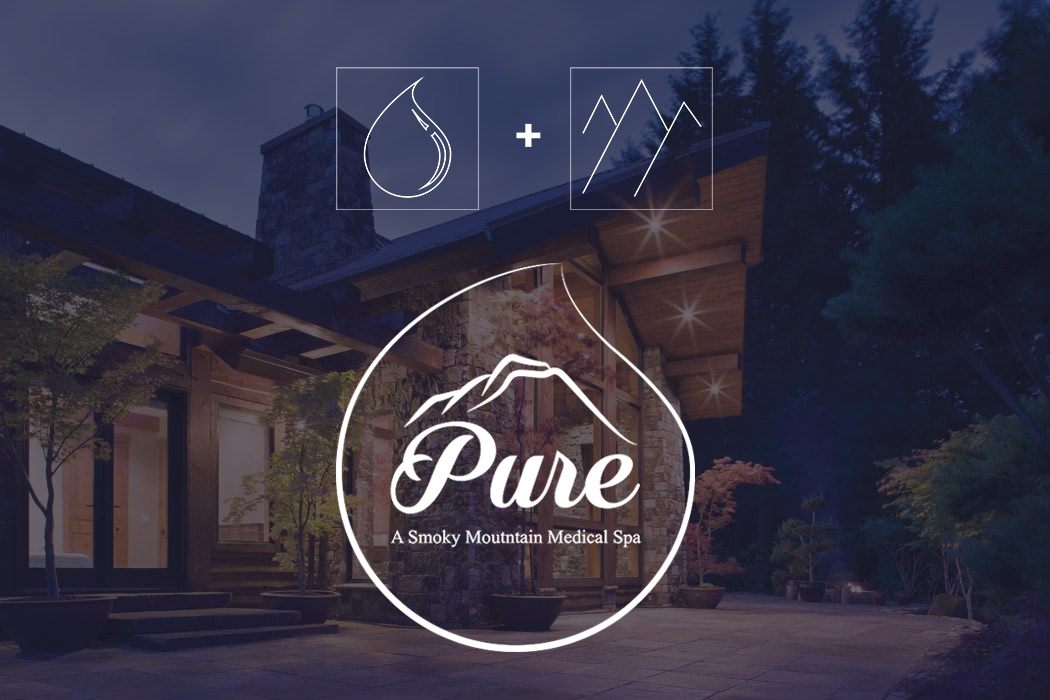 Logo Design by Dyn for Great Smoky Mountains Winery | Design #13036417