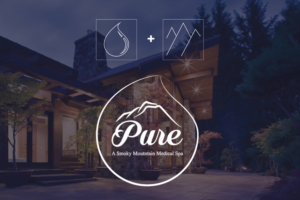 Logo Design by Dyn for Great Smoky Mountains Winery | Design: #13036417