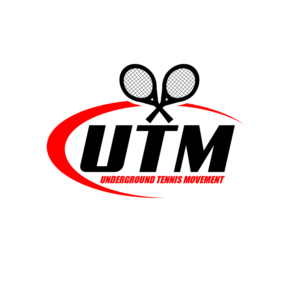 Logo Design by Limitless 