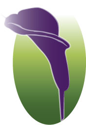 Design Illustration par zaiats pour ce projet | Design #531410