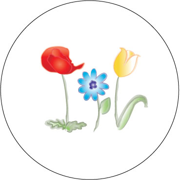 Contest winning design