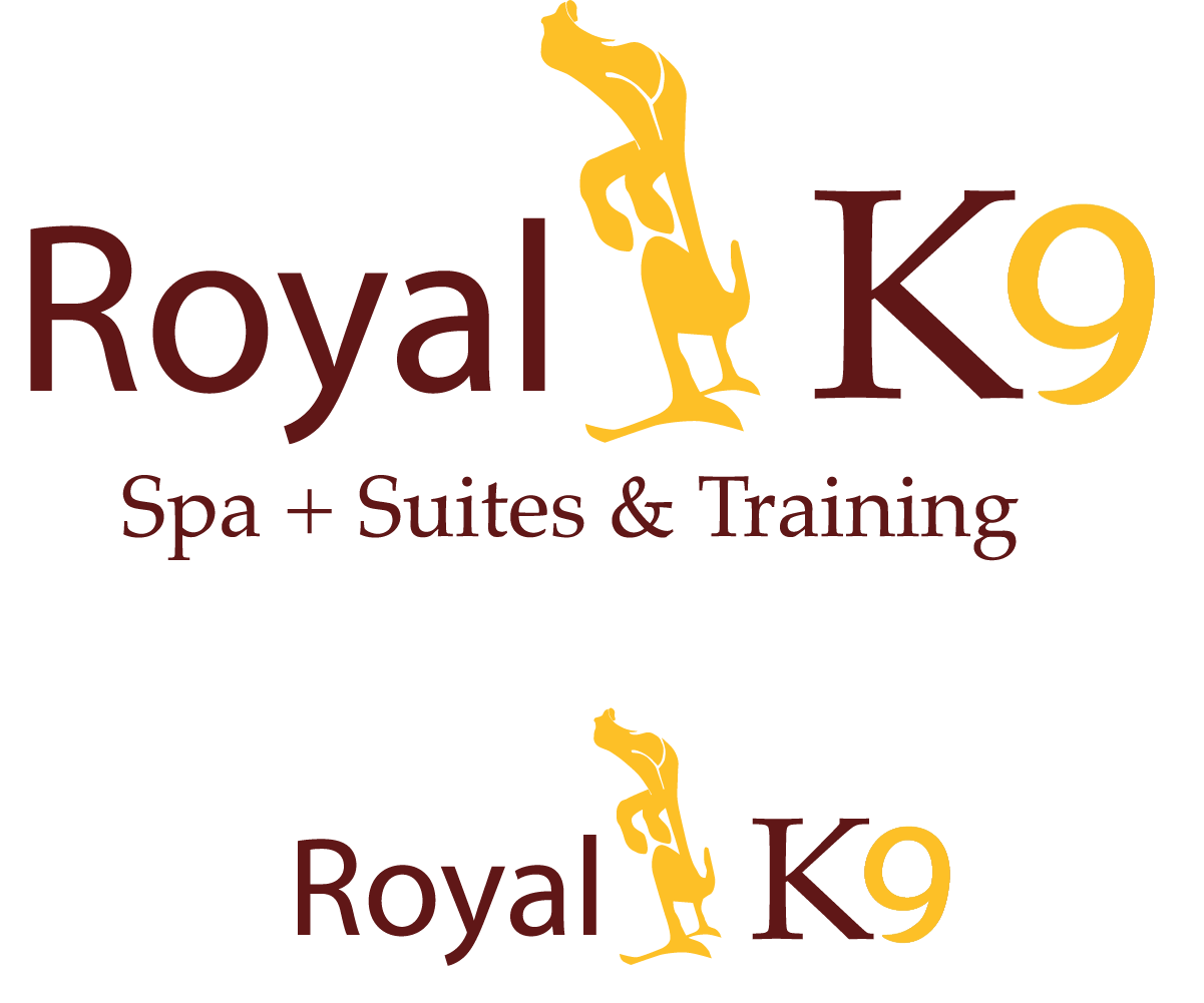 Logo Design by TurnGraphics for Essential Coding | Design #2457093