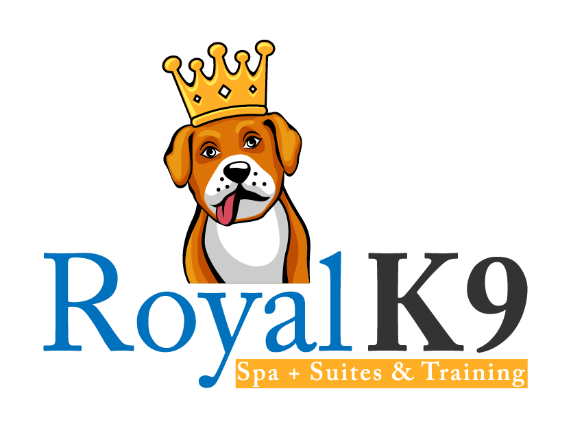 Logo Design by singhania for Essential Coding | Design #2456460