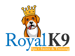 Logo Design by singhania for Essential Coding | Design: #2456460