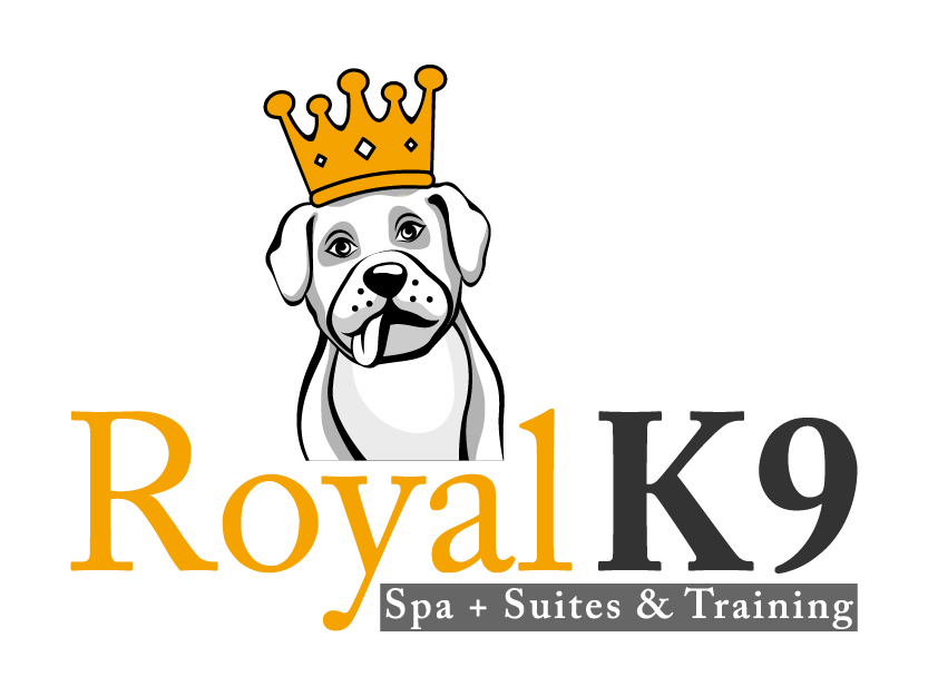 Logo Design by singhania for Essential Coding | Design #2456534