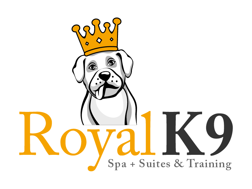 Logo Design by singhania for Essential Coding | Design #2456537