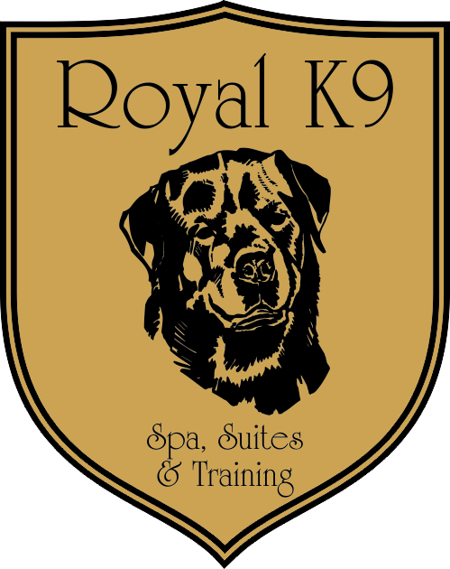 Logo-Design von Atilla Said für Essential Coding | Design #2444315