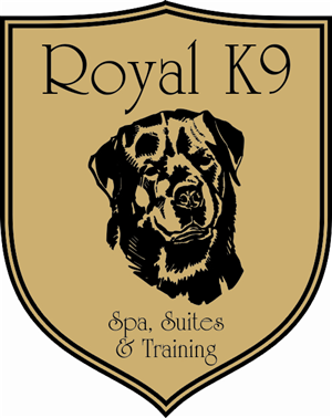 Logo Design by Atilla Said