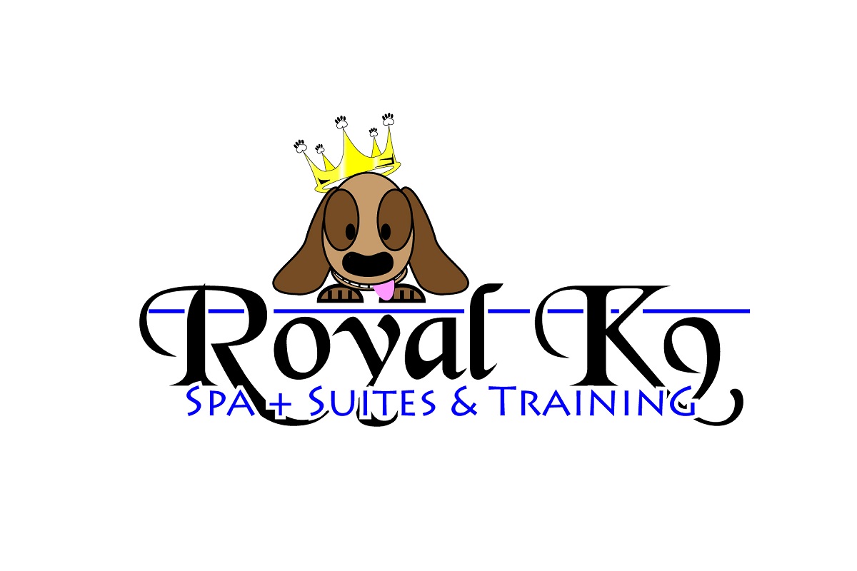 Logo Design by Obliterate for Essential Coding | Design #2444208