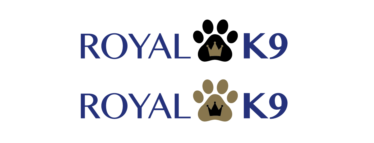 Design de Logo par  simplytb pour Essential Coding | Design #2448018