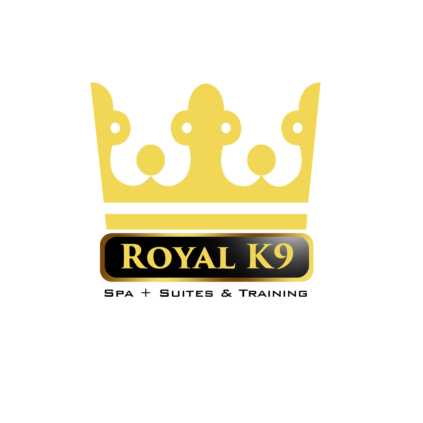 Logo Design by ProDesign for Essential Coding | Design #2441892