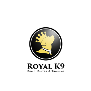 Logo Design by ProDesign for Essential Coding | Design: #2442093