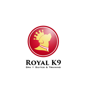 Logo Design by ProDesign for Essential Coding | Design: #2442095