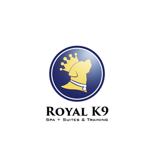 Logo Design by ProDesign for Essential Coding | Design: #2442099