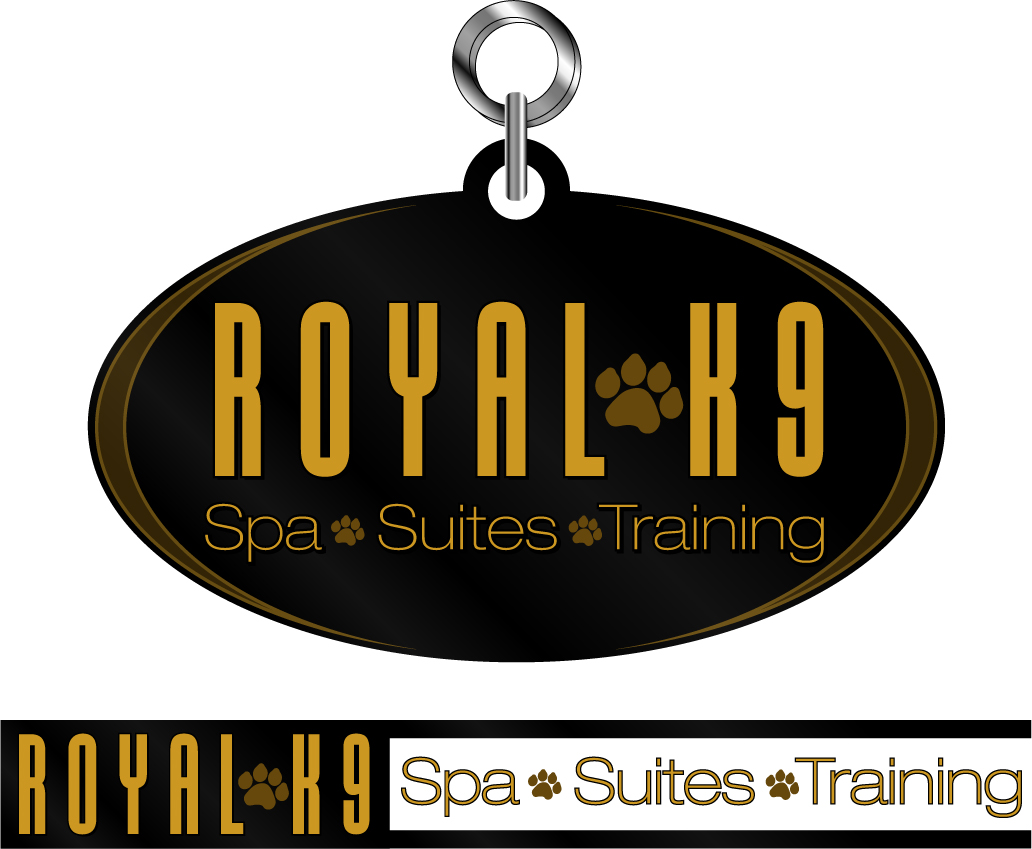 Logo Design by bb visuals for Essential Coding | Design #2442229