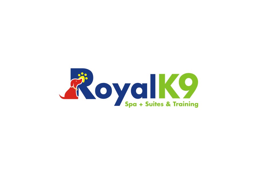 Design de Logo par lrbalaji pour Essential Coding | Design #2443374