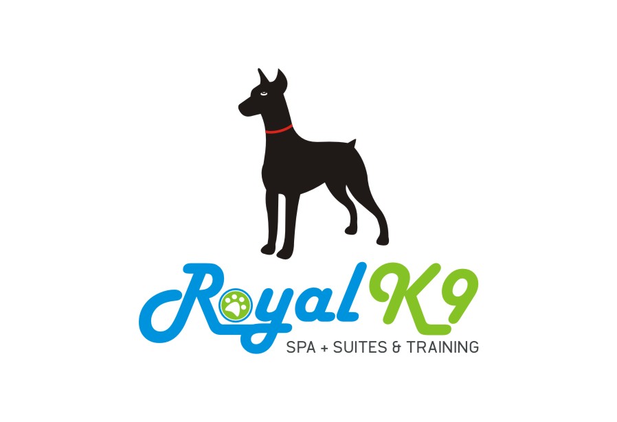 Logo Design by lrbalaji for Essential Coding | Design #2443457