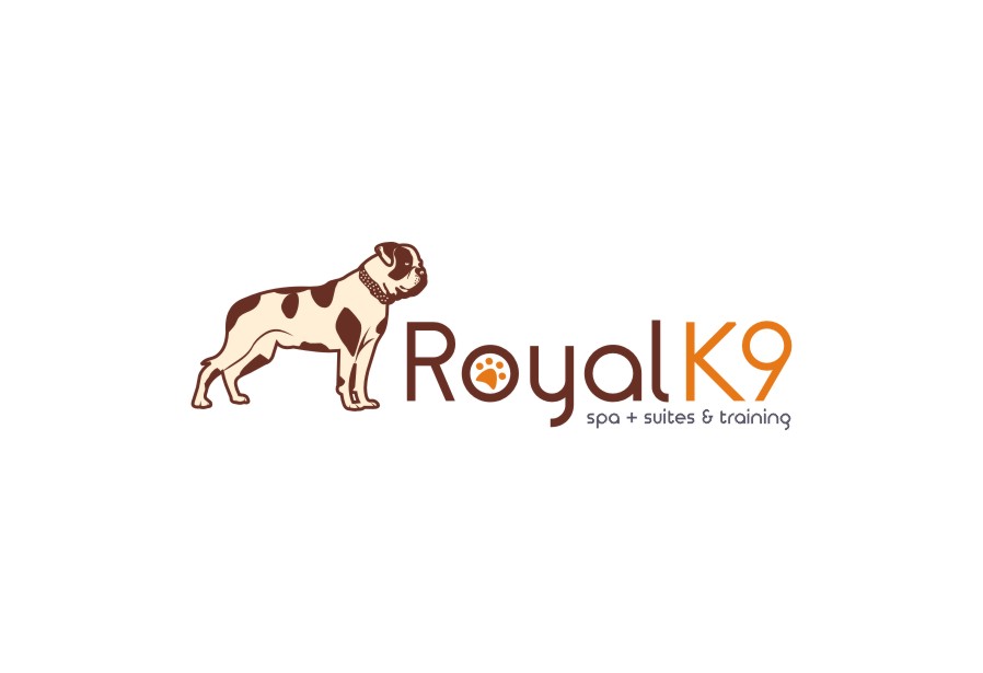 Design de Logo par lrbalaji pour Essential Coding | Design #2443501