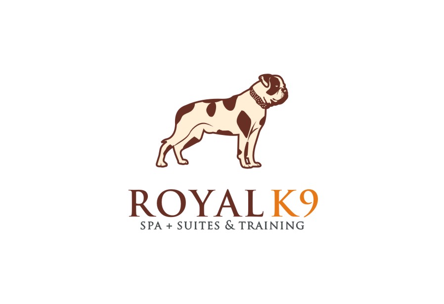 Logo Design by lrbalaji for Essential Coding | Design #2443531