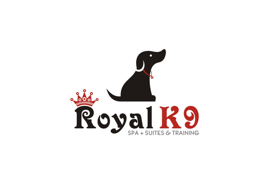 Logo Design by lrbalaji for Essential Coding | Design #2447283