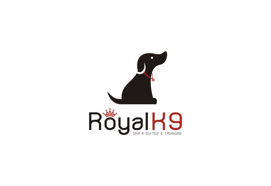 Design de Logo par lrbalaji pour Essential Coding | Design #2447439