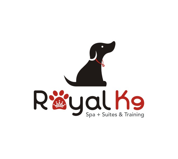 Logo Design by lrbalaji for Essential Coding | Design #2451062