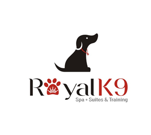 Logo-Design von lrbalaji für Essential Coding | Design: #2451091