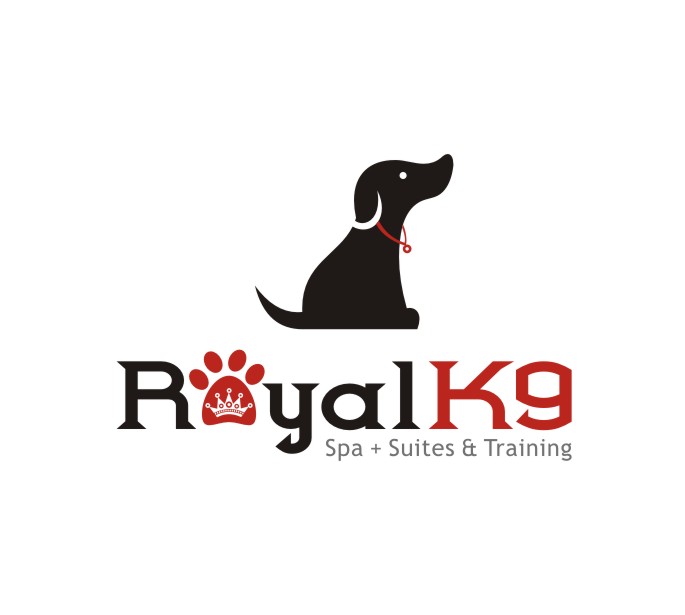 Logo Design by lrbalaji for Essential Coding | Design #2451104