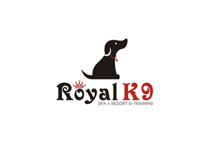 Logo-Design von lrbalaji für Essential Coding | Design: #2455331