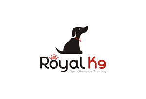 Logo-Design von lrbalaji für Essential Coding | Design: #2484727