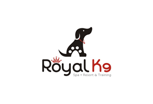 Logo-Design von lrbalaji für Essential Coding | Design: #2484735