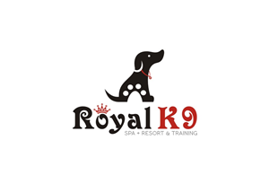 Logo-Design von lrbalaji für Essential Coding | Design: #2484740