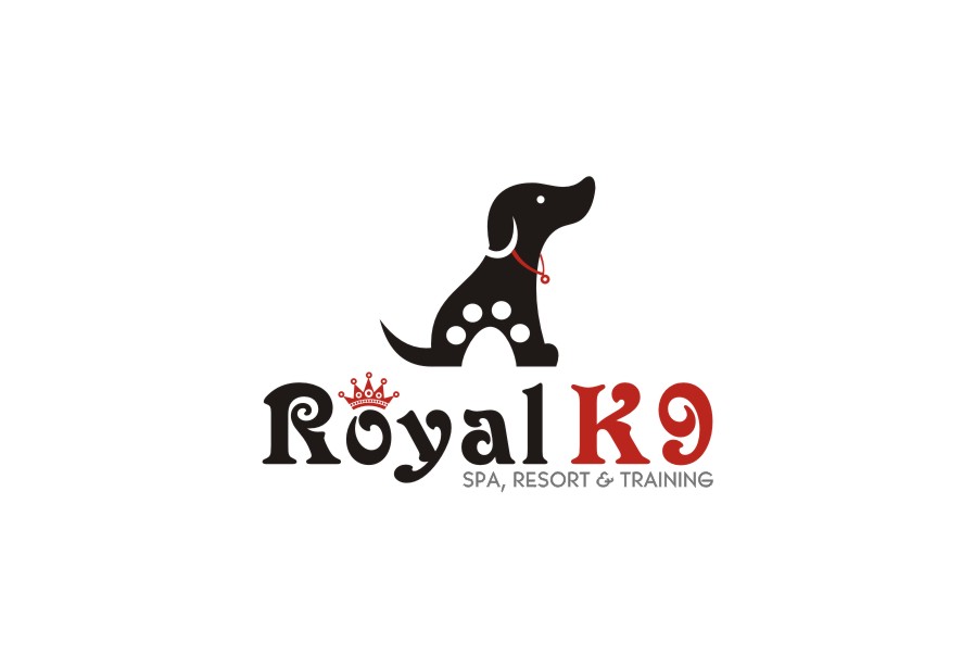 Logo Design by lrbalaji for Essential Coding | Design #2491252