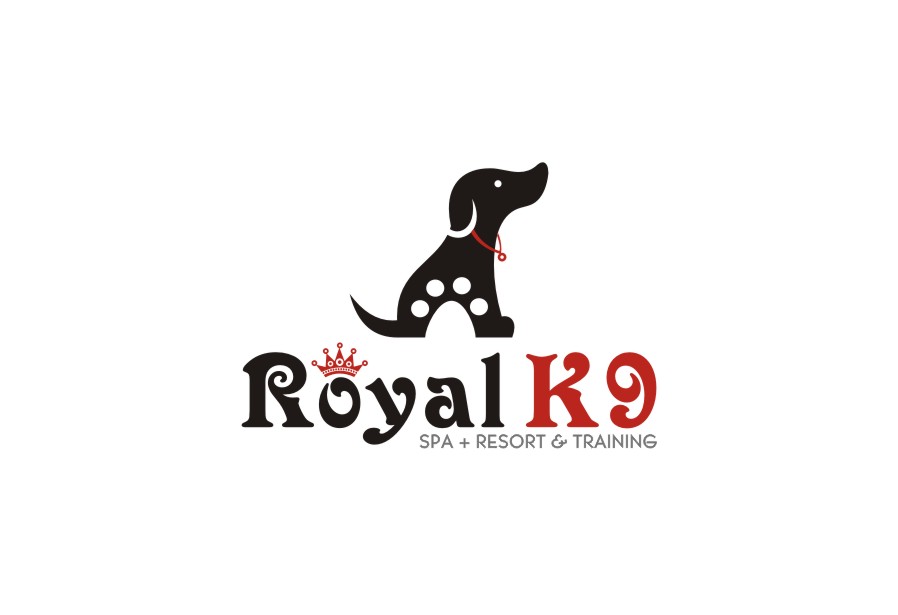 Logo Design by lrbalaji for Essential Coding | Design #2491264