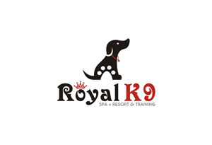 Logo-Design von lrbalaji für Essential Coding | Design: #2491264