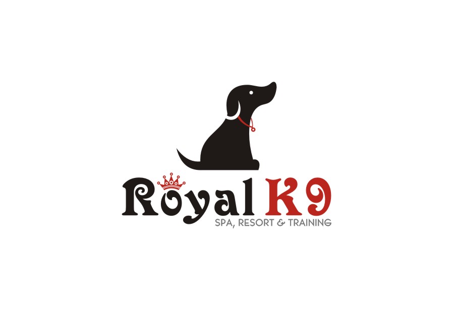 Logo-Design von lrbalaji für Essential Coding | Design: #2501518
