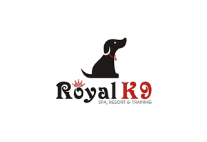 Logo-Design von lrbalaji für Essential Coding | Design #2501518
