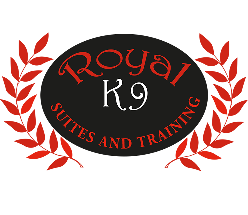 Logo Design by GOKASS for Essential Coding | Design #2446469