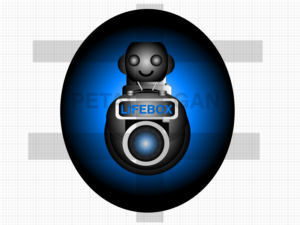 Logo-Design von midnightmaiden für Shah Companies LLC | Design: #12982020