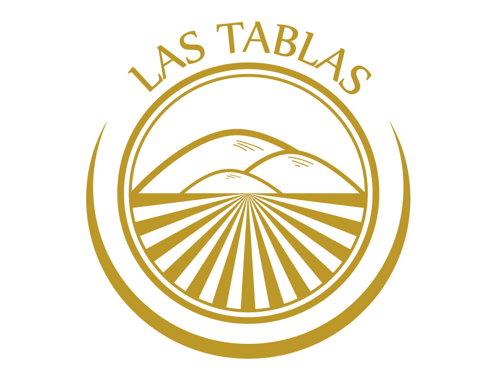 Logo Design by Daniela Abril for Fuzenet Marketing | Design #13108373