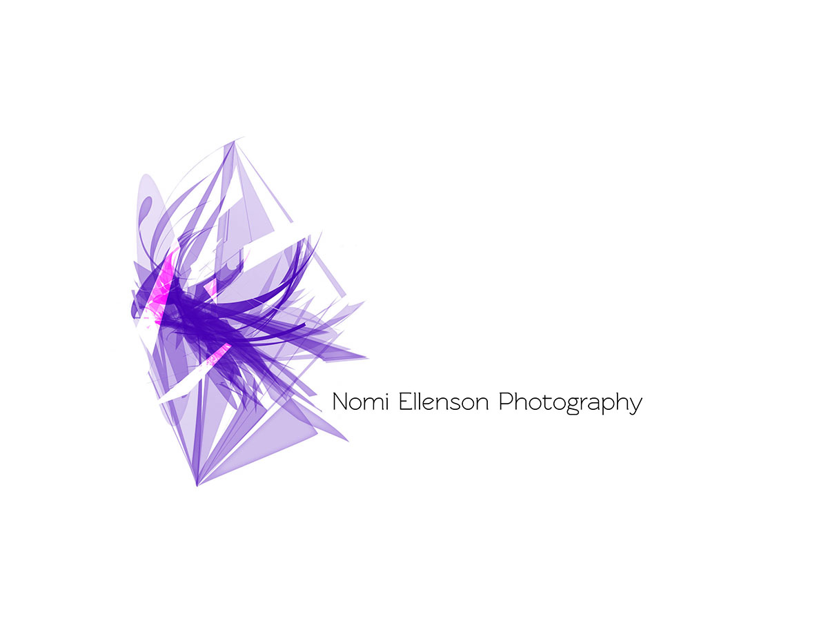 Diseño de Logo por Helen Slavutsky  para Nannies+by+Noa | Diseño #2495998