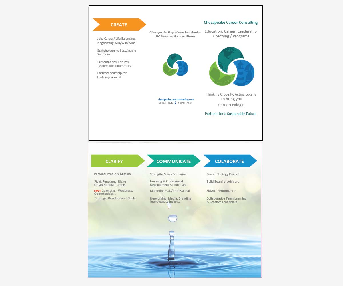 Vector Design by Anna  for Chesapeake Career Consulting, LLC  | Design #16047371