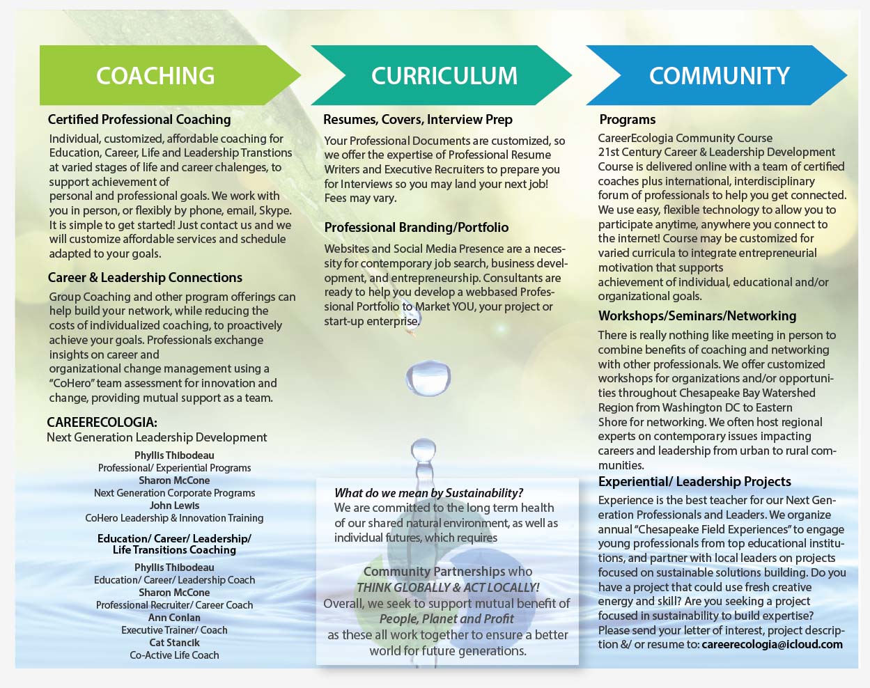 Vector Design by Anna  for Chesapeake Career Consulting, LLC  | Design #16141957