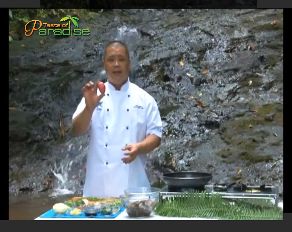 Logo Design by creative.visuals for this project | Design #2462732