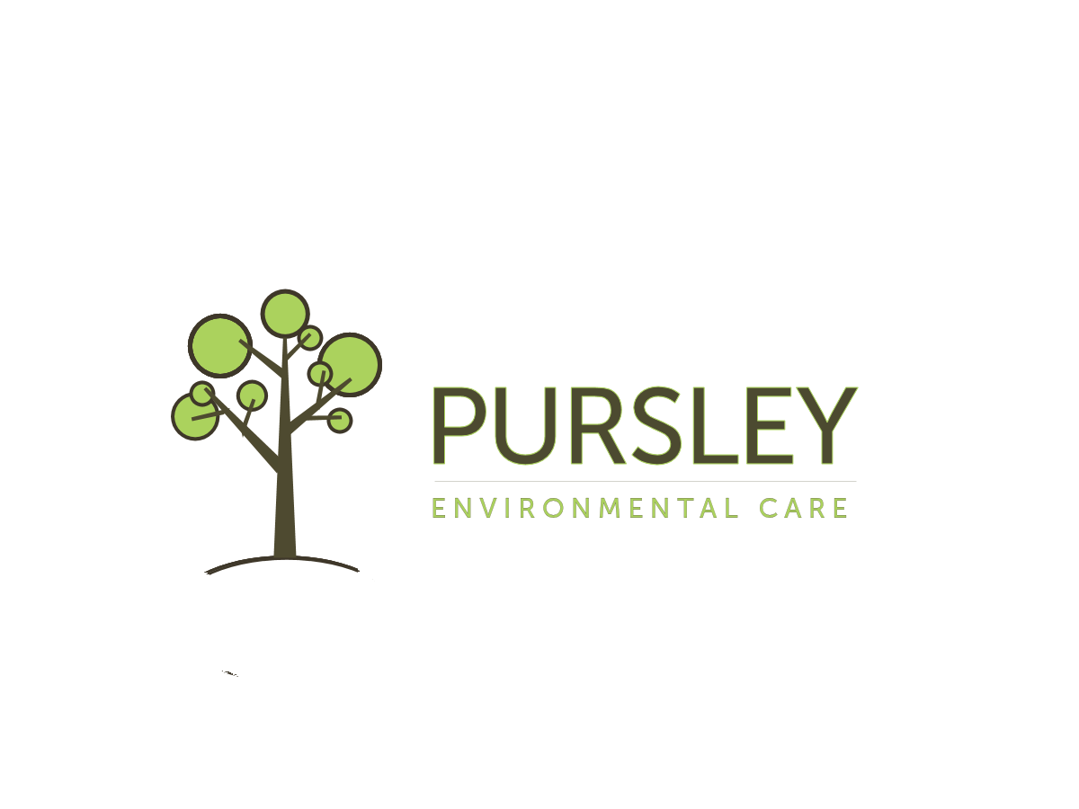 Logo Design by Stasia for this project | Design #564787