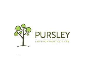 Logo Design by Stasia