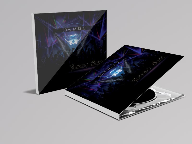 CD Cover Design by Kowzi for this project | Design #13158222