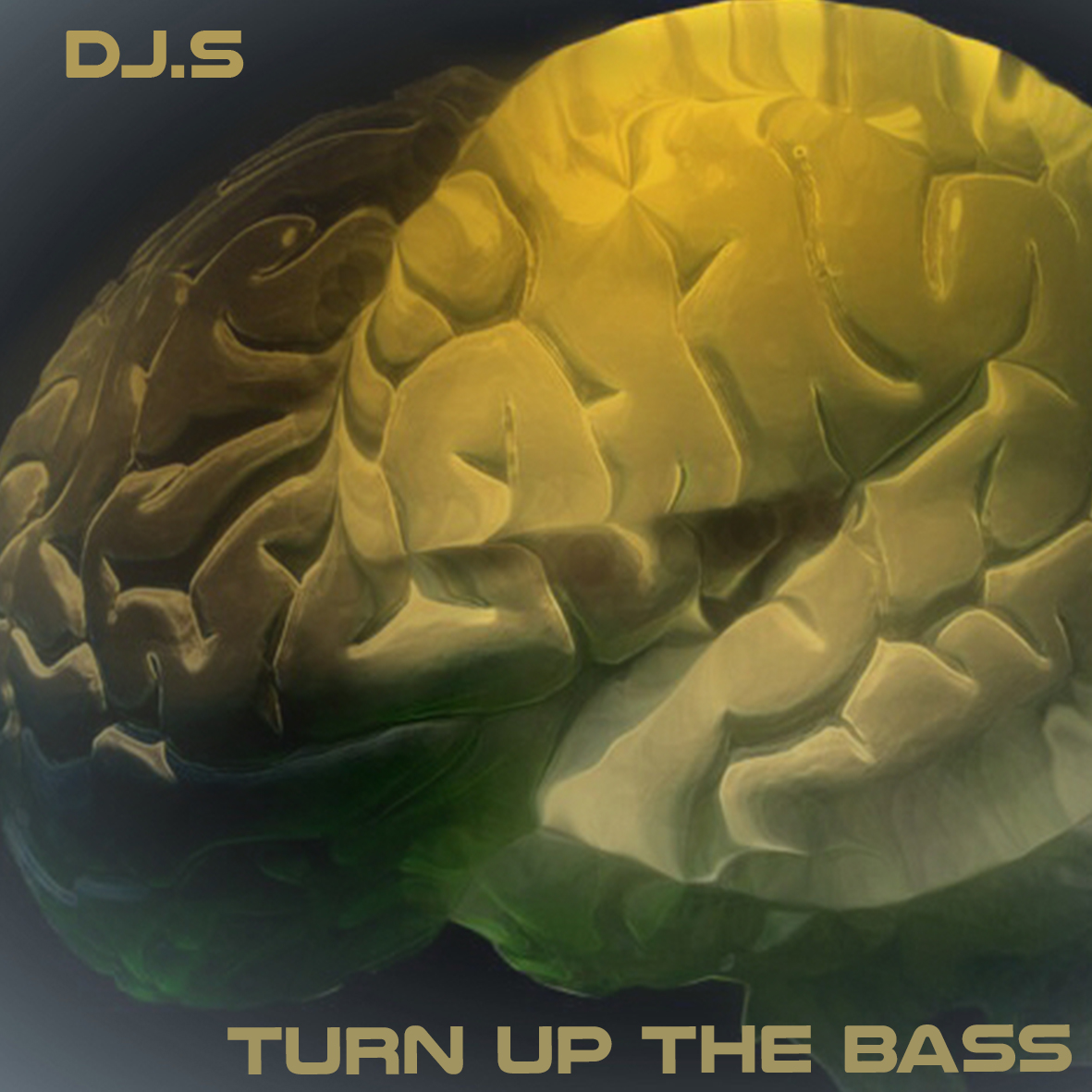 CD Cover Design by midnightmaiden for this project | Design #13337936