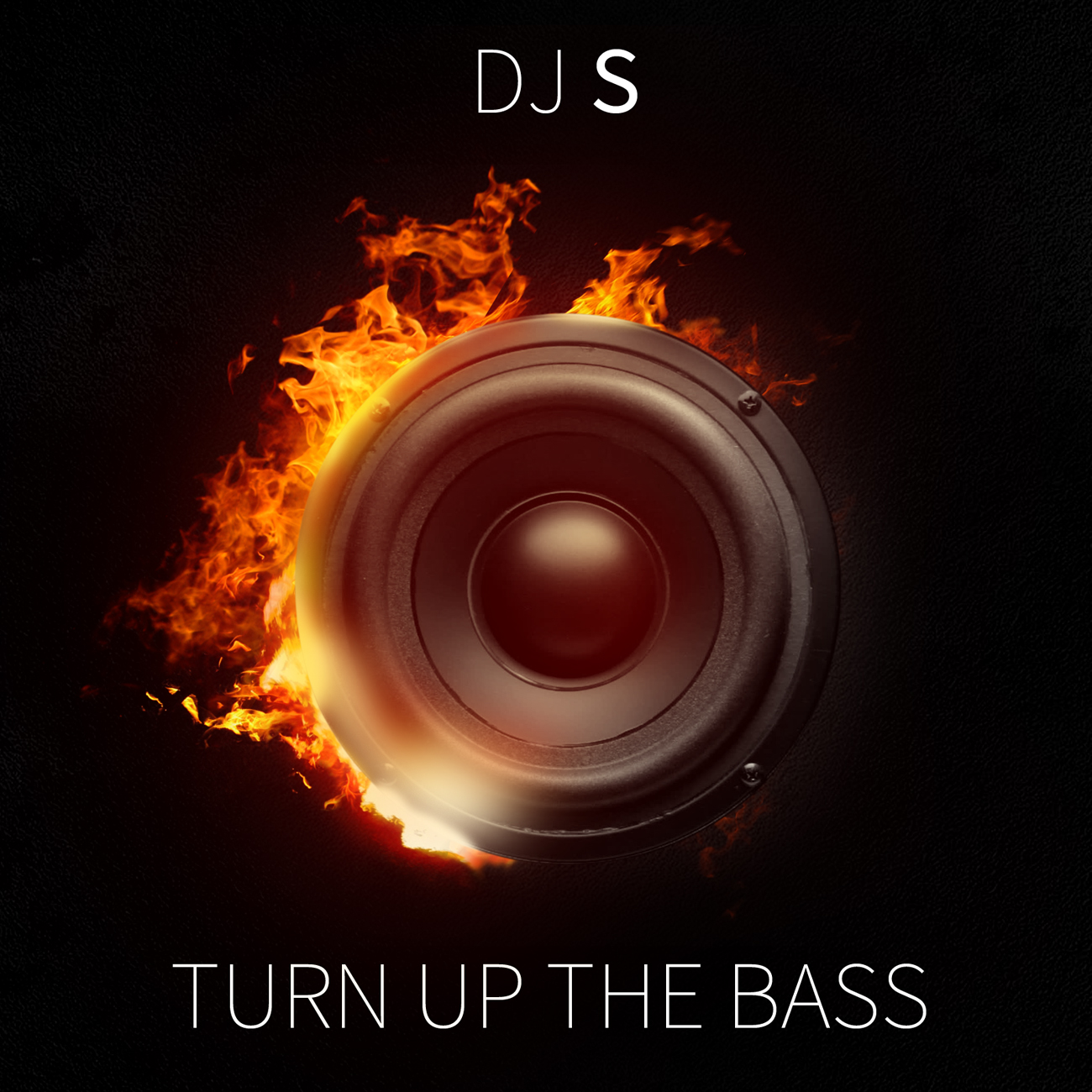 CD Cover Design by Gfx.26™ for this project | Design #13133762